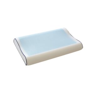 Review Green Future Perna Green Future Anatomica Memory Arctic Gel
